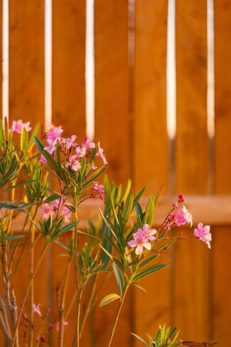 Starboard Tiny Home Apple Valley Ngoại thất bức ảnh